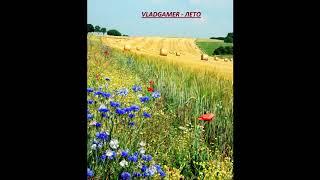 VladGamer - Лето