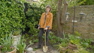 How to plant for shade in your small garden: Telegraph Gardening Tips