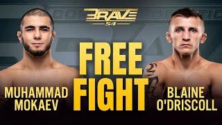 Muhammad Mokaev vs Blaine O'Driscoll | FULL FIGHT | BRAVE CF 54