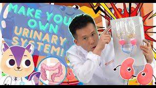 Biology | DIY Urinary System | Human Body | Experiment | Arts & Crafts | Science For Kids