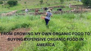 From growing my own organic food in rural South Africa to buying expensive organic food in America