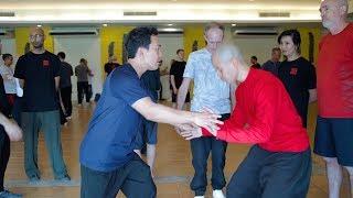 Liang De Hua - Yang Style Taiji Quan • The Martial Camp 2020