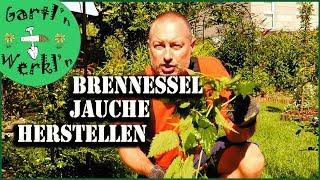 Brennesseljauche selbermachen ganz einfach und unkompliziert