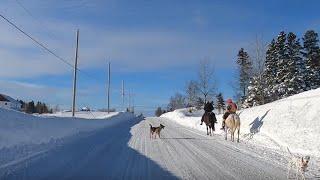 Winter driving on backcountry roads in Québec, Canada