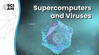 What can supercomputers teach us about viruses?