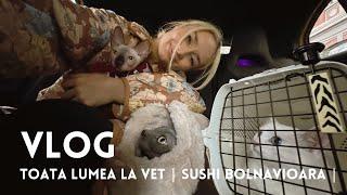 VLOG | Sushi bolnavioara | O recomandare de film |