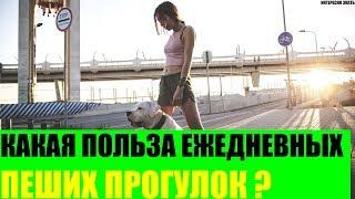 Какая польза ежедневных пеших прогулок?