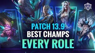 BEST Champions in EVERY ROLE in Patch 13.9 | LoL Season 13