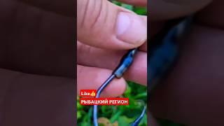 Снасть на сома рабочая