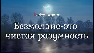 Роберт Адамс - Безмолвие - это чистая разумность [Nikosho]