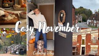 November’s Charm:Countryside Walks & Cosy Spanish Pumpkin Tortilla Treasures from the Antique Shop