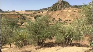 Azienda Agricola Monti Erei