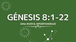 UNA SEGUNDA OPORTUNIDAD (014 GENESIS 8:1-22)