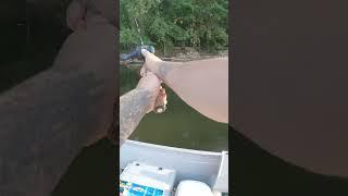 Should I buy him a beer? #fishing #river #fail #trending #water #grandriver #grandrapids #michigan