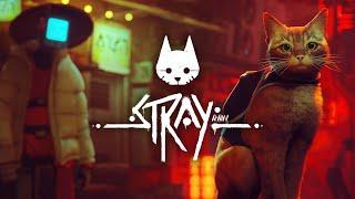 STRAY | Coming to Nintendo Switch