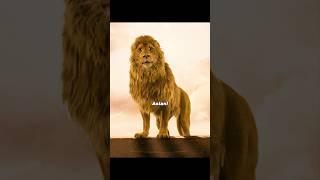  Aslan Rises!  The Lion's Return Turns the Tide | The Chronicles of Narnia ️️