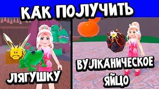 Как получить лягушку и вулканическое яйцо в WACKY WIZARDS Roblox  роблокс чокнутые маги