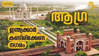 City Tour 16 | Agra | SAFARI TV