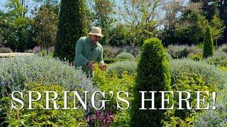 Spring Garden Tour of the Park Winters Grounds  🪻 Ginko, Mock Orange, Teucrium and more!