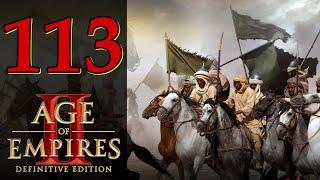 Прохождение Age of Empires 2: Definitive Edition #113 - Пересечение Пиренеев [Тарик ибн Зияд]