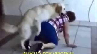 Perro degenerado abusa de señora