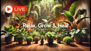  LIVE  Healing Music for Plants & Plant Lovers - Relax, Grow, Heal!