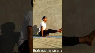 Brahmacharyasana I Balancing Yoga Poses I Yoga and Fitness With Shiva I Strong Arm I #shorts