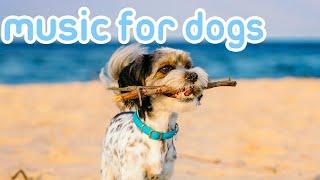 Soothing Music to Relax My Dog! 20 HOURS [No Ads]