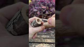 Why this pipe will never work  🪵 #carving #woodcarving #nature #relaxing #satisfying #woodworking