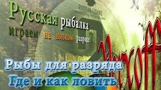 Ловим Тугун База Ангара Русская рыбалка 3.7.4