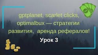 gptplanet, scarlet clicks, optimalbux — стратегии развития,  аренда рефералов! Урок 3.