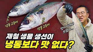 바다 이상설이 현실로…? "제철 생선"이 "냉동"보다 맛이 없다길래 직접 비교해 봤습니다