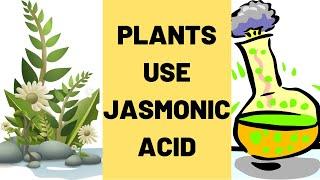 How Plants Use Jasmonic Acid?