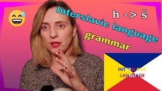 Interslavic language grammar changes