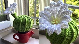 МК: КАКТУС С ЦВЕТКОМ КРЮЧКОМ. ДЕКОР КРЮЧКОМ. CROCHET CACTUS