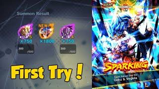 I Got Duo Goku and Vegeta First Try | Dragon Ball Legends Festival Summon