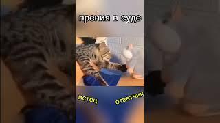 ПРЕНИЯ В СУДЕ