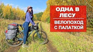 ОДИНОЧНЫЙ ВЕЛОПОХОД | НОЧУЮ В ПАЛАТКЕ | ЗВЕРЬ РЯДОМ