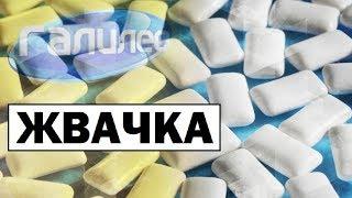 Галилео | Жвачка  [Chewing gum]