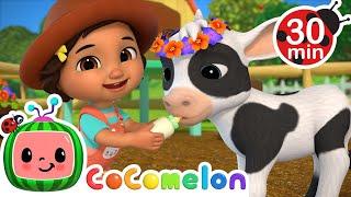 Cute Baby Animals with CoComelon  La Vaca Lola + Old MacDonald + MORE CoComelon Nursery Rhymes