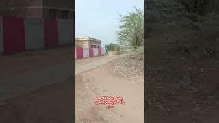 chak 459 Sayed Wala JHANG Government Primary School جھنگ #education
