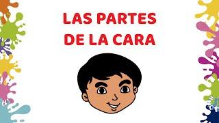 Las partes de la cara para niños