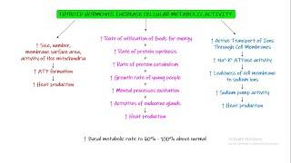 Physiological functions of Thyroid Hormone. Chapter 77 part 4. Guyton and Hall Physiology.