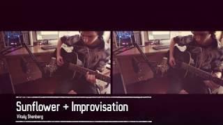 (Paddy Sun) Sunflower + Improvisation Solo - Vitaly Shenberg