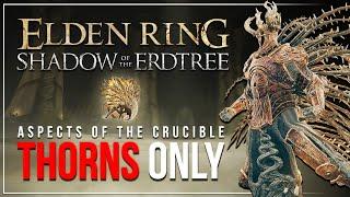 Can I Beat Elden Ring as a PORCUPINE?