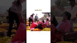 Reality #bollywood #srk #deepikapadukone #sharukhkhan #actress #viralvideo #shortsfeed #shorts
