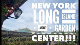 Long Island's Largest Garden Center | Hicks Nursery | Westbury NY | June 2020