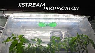 Xstream propagator