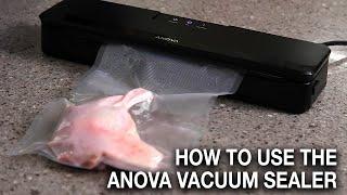 How to Use the Anova Vacuum Sealer + Review