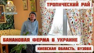 Банановая ферма Киевщина Тропический рай с #ПоехалисНоми на автодоме Бузова, Киевская область